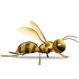 スズメバチが活動期に入り攻撃的になっています。適切な判断と行動を。