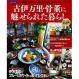 古伊万里・骨董に魅せられた暮らし